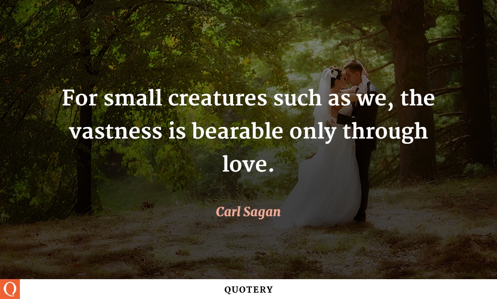 “For small creatures such as we, the vastness is bearable only through love.” — Carl Sagan