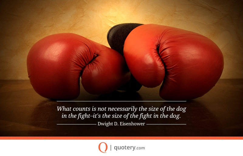 “What counts is not necessarily the size of the dog in the fight–it's the size of the fight in the dog.” — Dwight D. Eisenhower