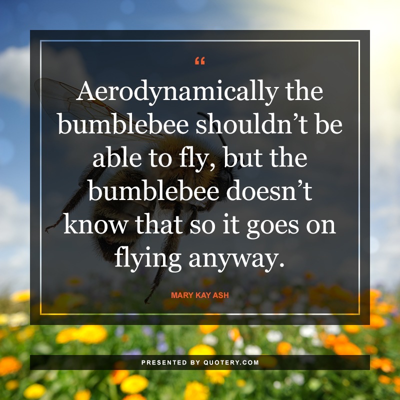 “Aerodynamically, the bumblebee shouldn’t be able to fly, but the bumblebee doesn’t know that so it goes on flying anyway.” — Mary Kay Ash
