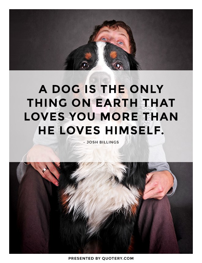 “A dog is the only thing on earth that loves you more than he loves himself.” — Josh Billings
