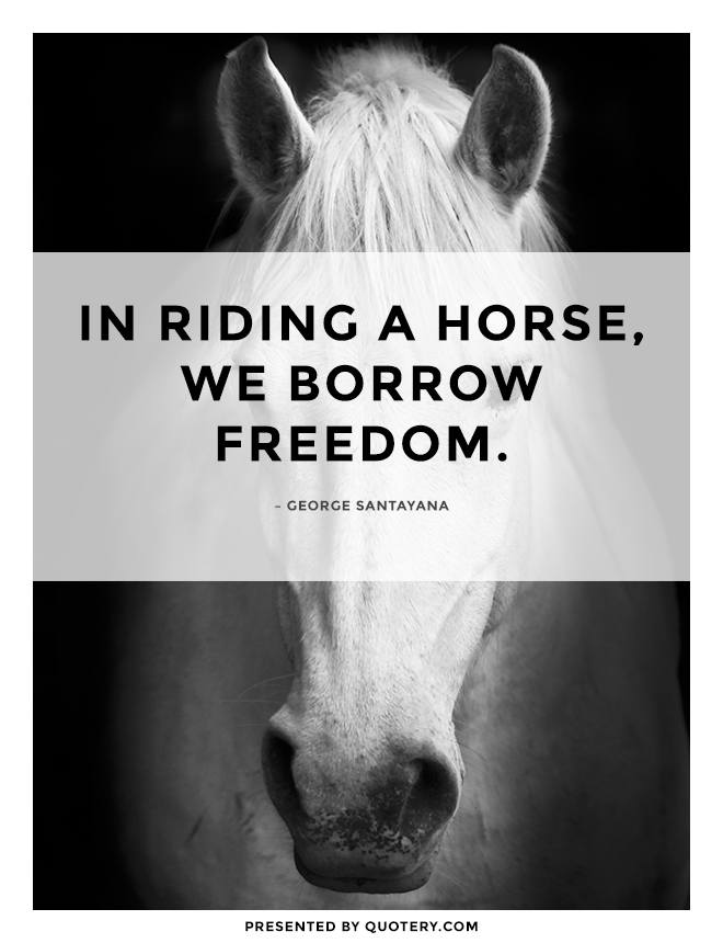 “In riding a horse, we borrow freedom.” — Helen Thompson