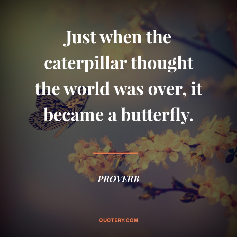 “Just when the caterpillar thought the world was over, it became a butterfly.” — Proverb